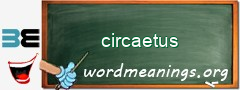 WordMeaning blackboard for circaetus